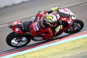 Alvaro Bautista, 2023 Indonesian WorldSBK. - Gold and Goose